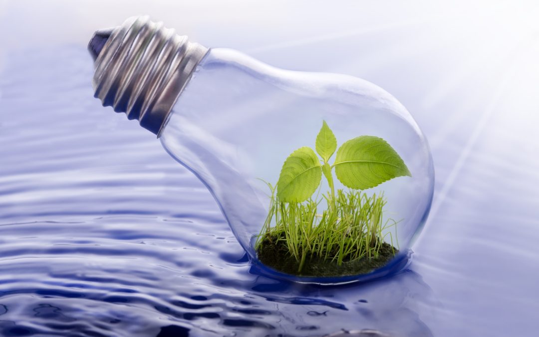 EPA Publishes Guidance on Streamlining Title V Permit Renewals: What It Means for Permitting Authorities and Regulated Sources