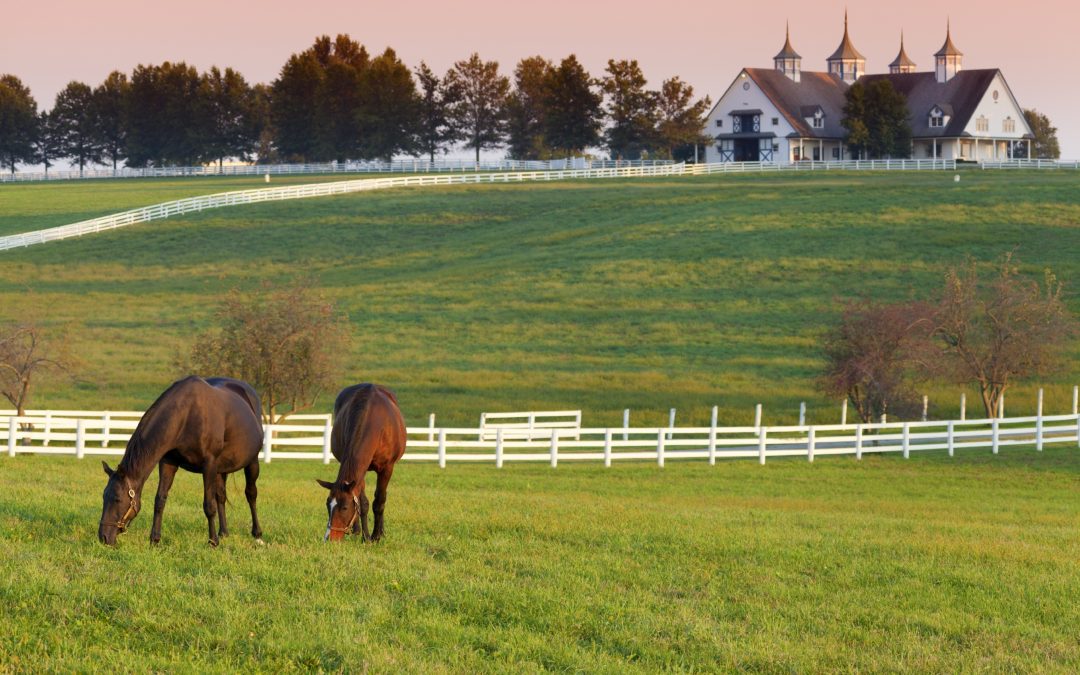 37th Annual National Conference on Equine Law