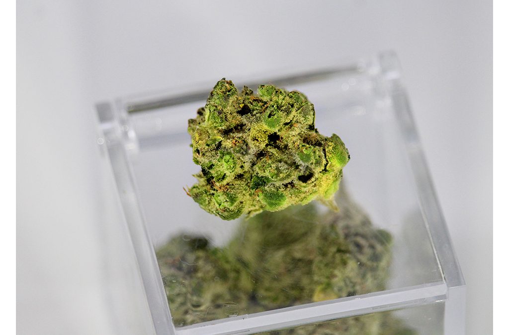 Kentucky Academy of Healthcare Attorneys Webinar: Medical Cannabis Seminar