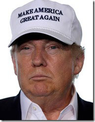 Trump Hat